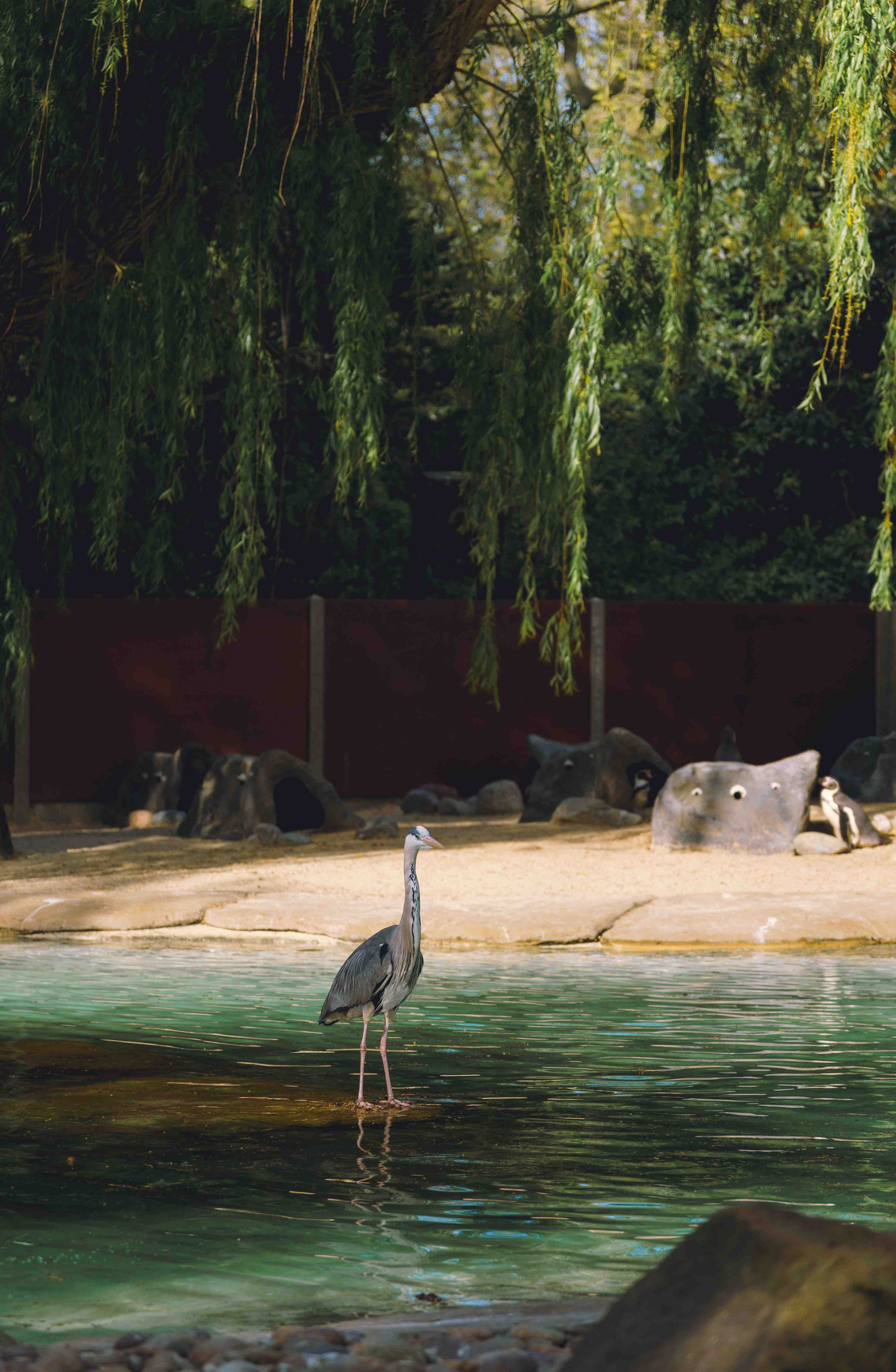 Tranquil Heron (Variation)